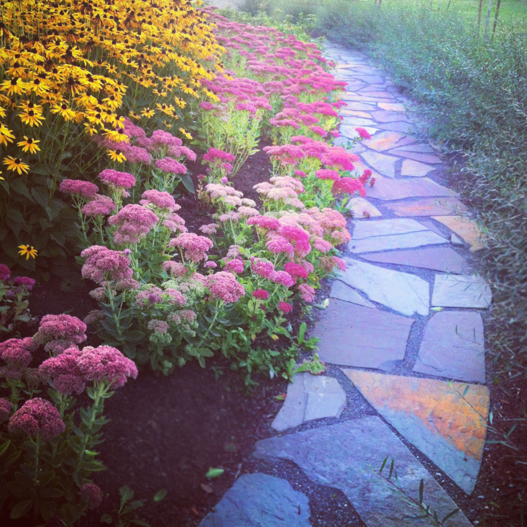 A garden with flowers and stone path.