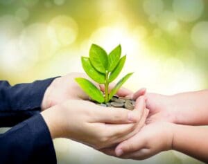 A person holding a plant in their hands