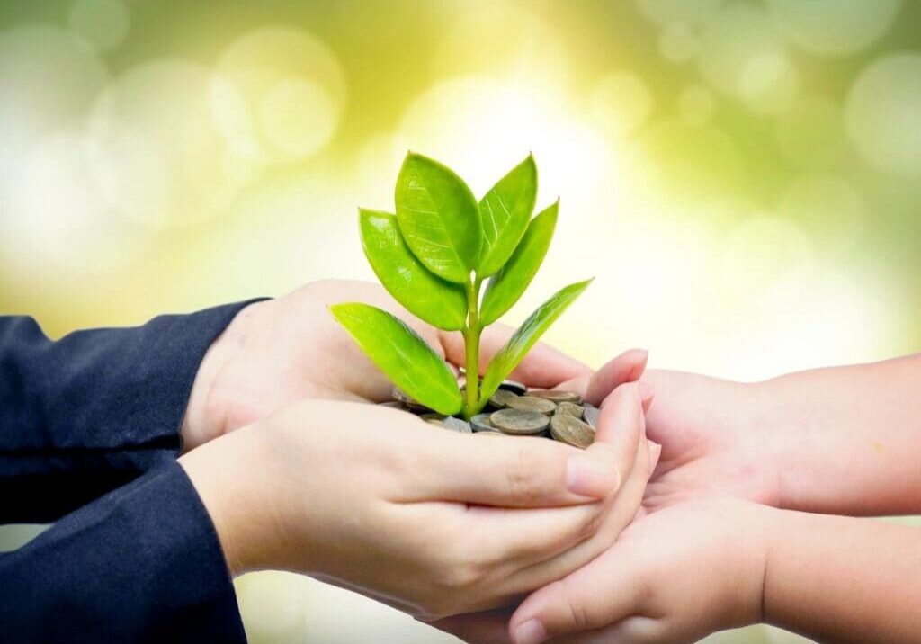 A person holding a plant in their hands